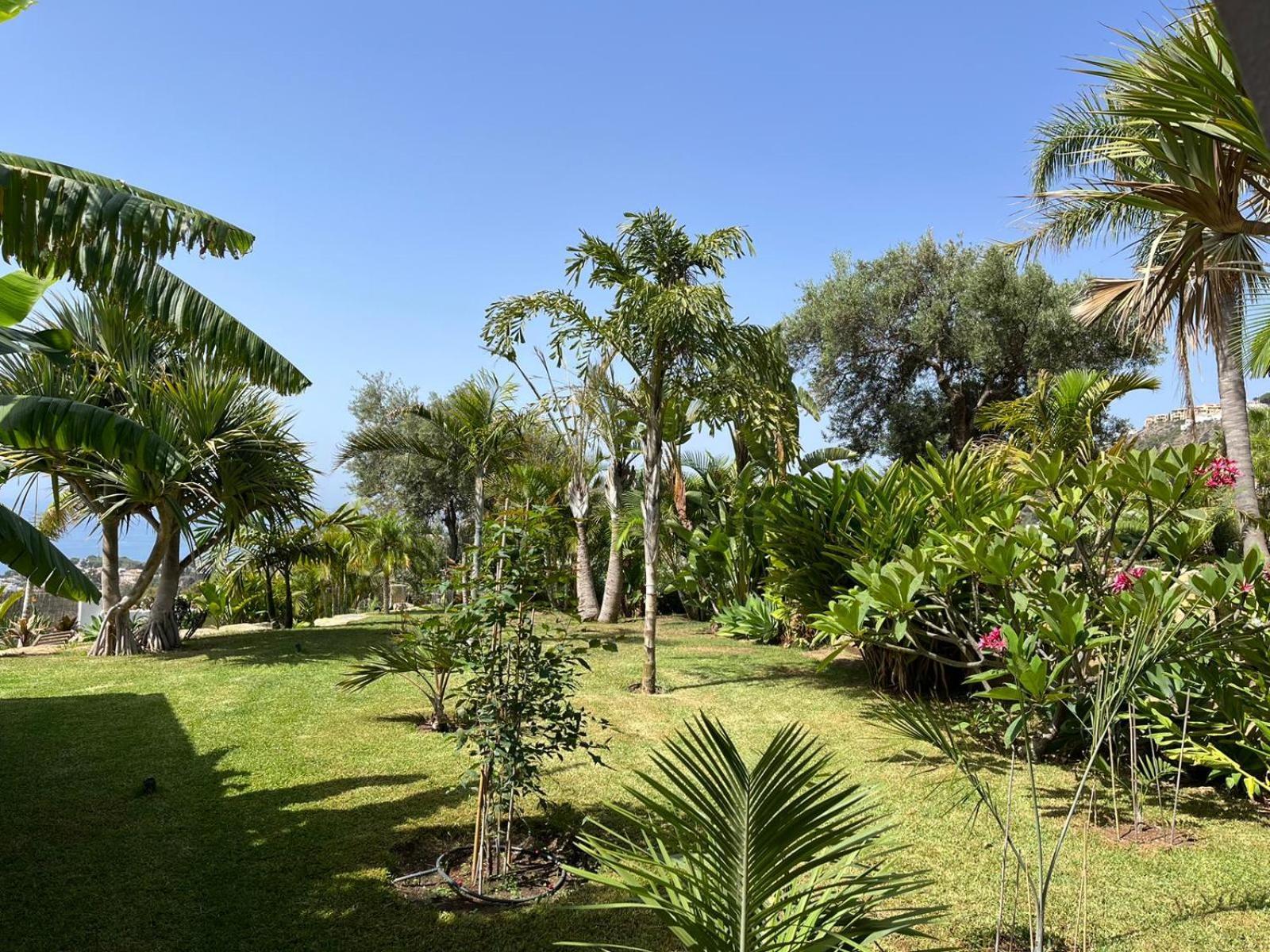 Bed & Breakfast In Villa Eden Palm Benalmádena Buitenkant foto